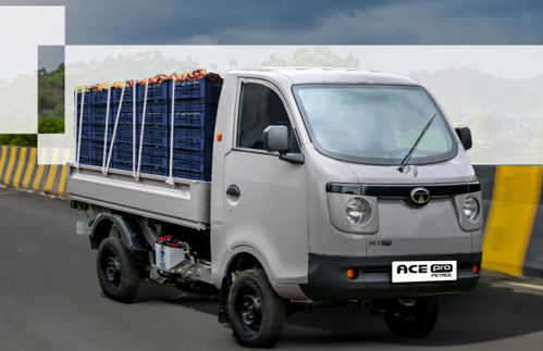 tata ace gold petrol